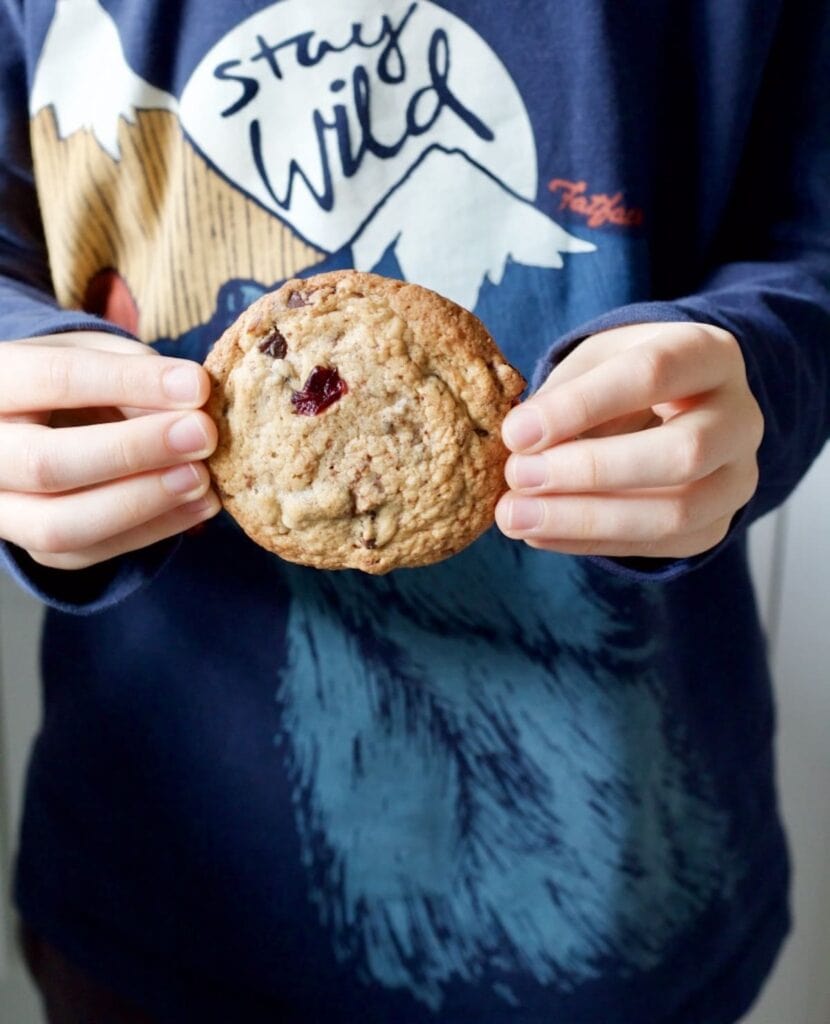 Dark Chocolate Cranberry Chestnut Cookies