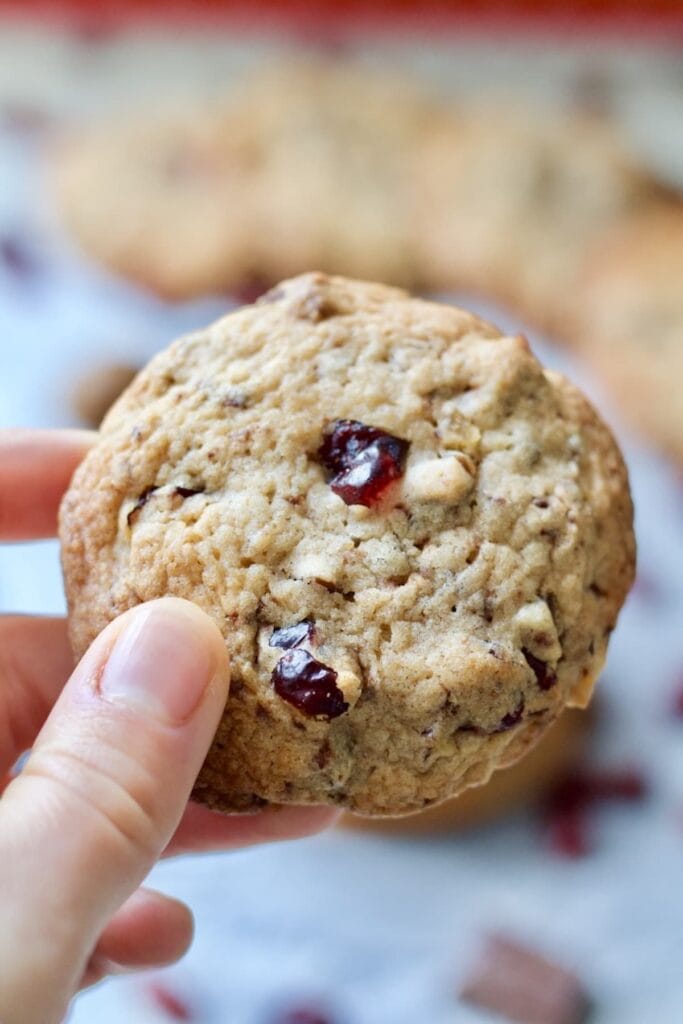 Dark Chocolate Cranberry Chestnut Cookies