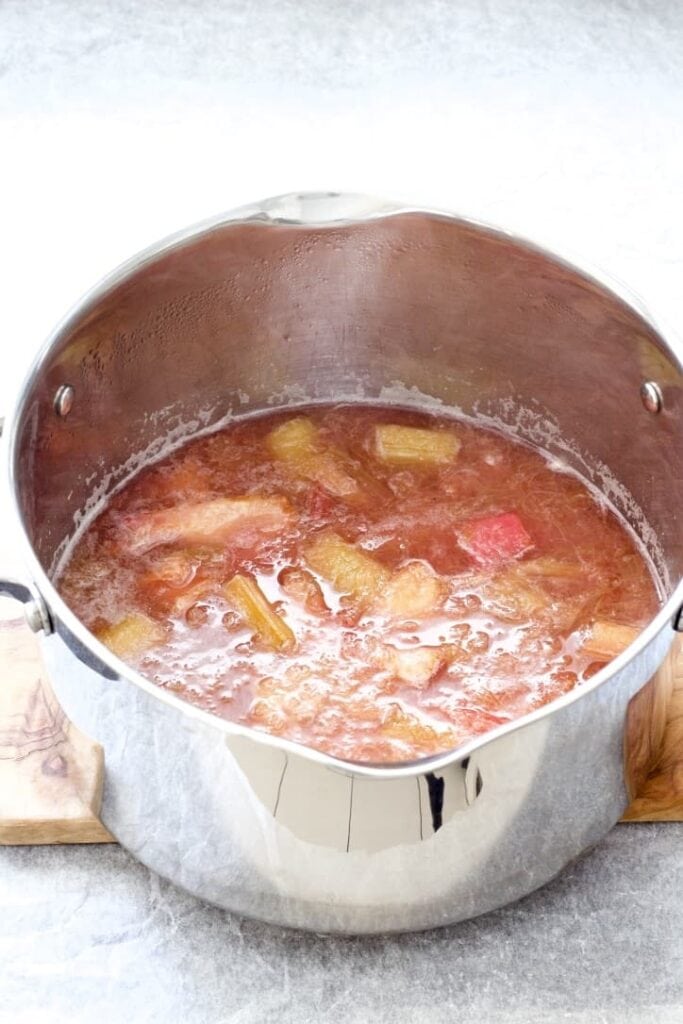 Stockpot with rhubarb pulp & syrup.