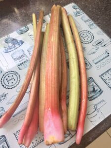 Cleaned stalks of rhubarb.