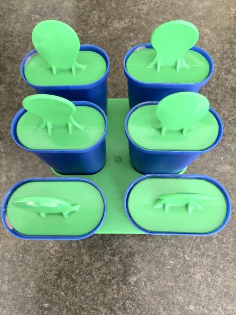 Closed ice lollies moulds.