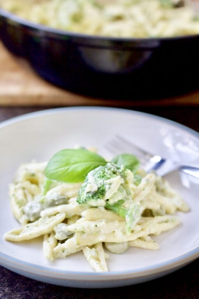 Close up of plated pasta with broccoli and basil leaves.