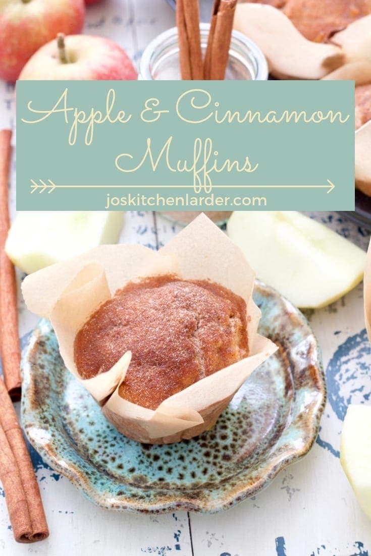 With their cinnamon sugar topping & delicious chunks of apples these easy to make & really moist Apple and Cinnamon Muffins make for truly autumnal treat! #applemuffins #cinnamonapplemuffins #cinnamonsugar #breakfasttreat #breakfastmuffins