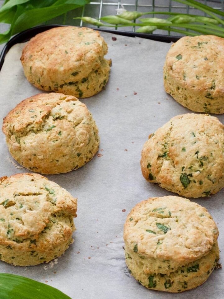 6 baked vegan cheese scones on baking tray.