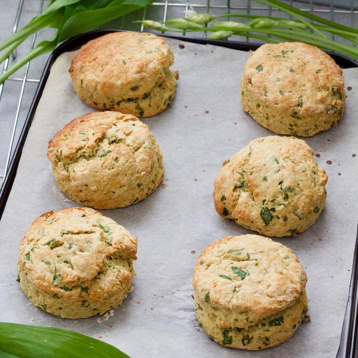 6 baked vegan cheese scones on baking tray.