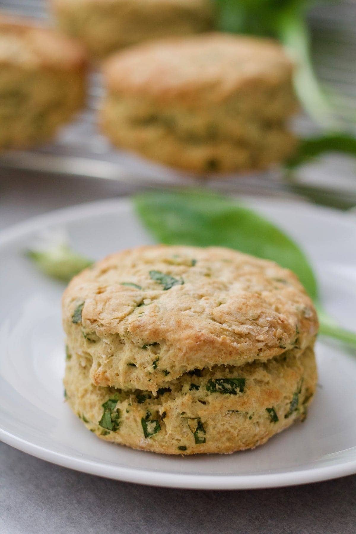 Close up of vegan cheese scone.