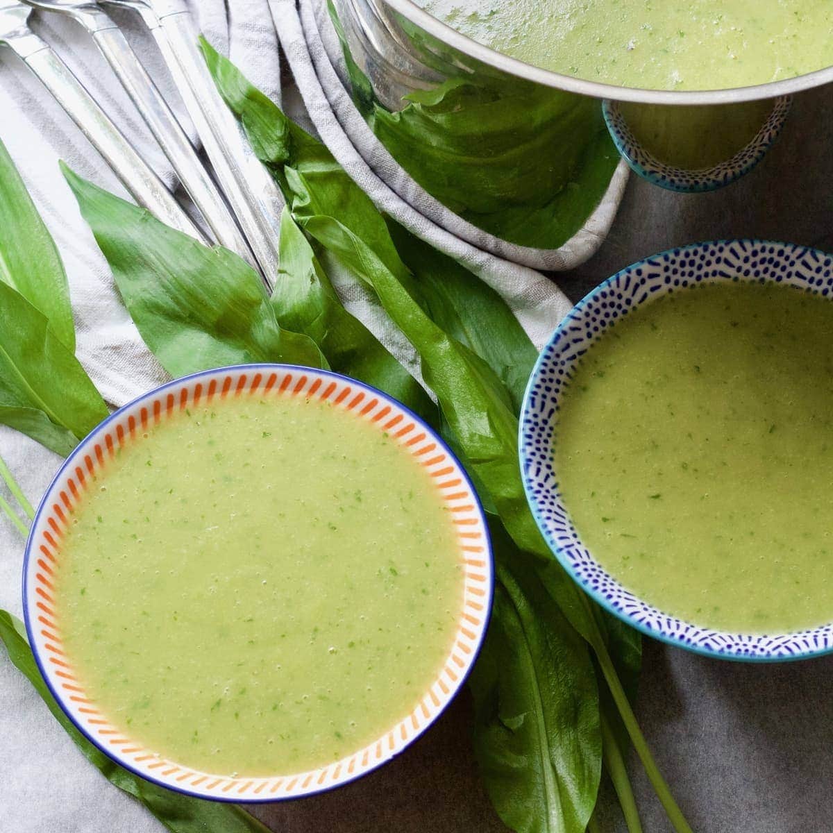 Wild garlic soup in bowls with leaves around.