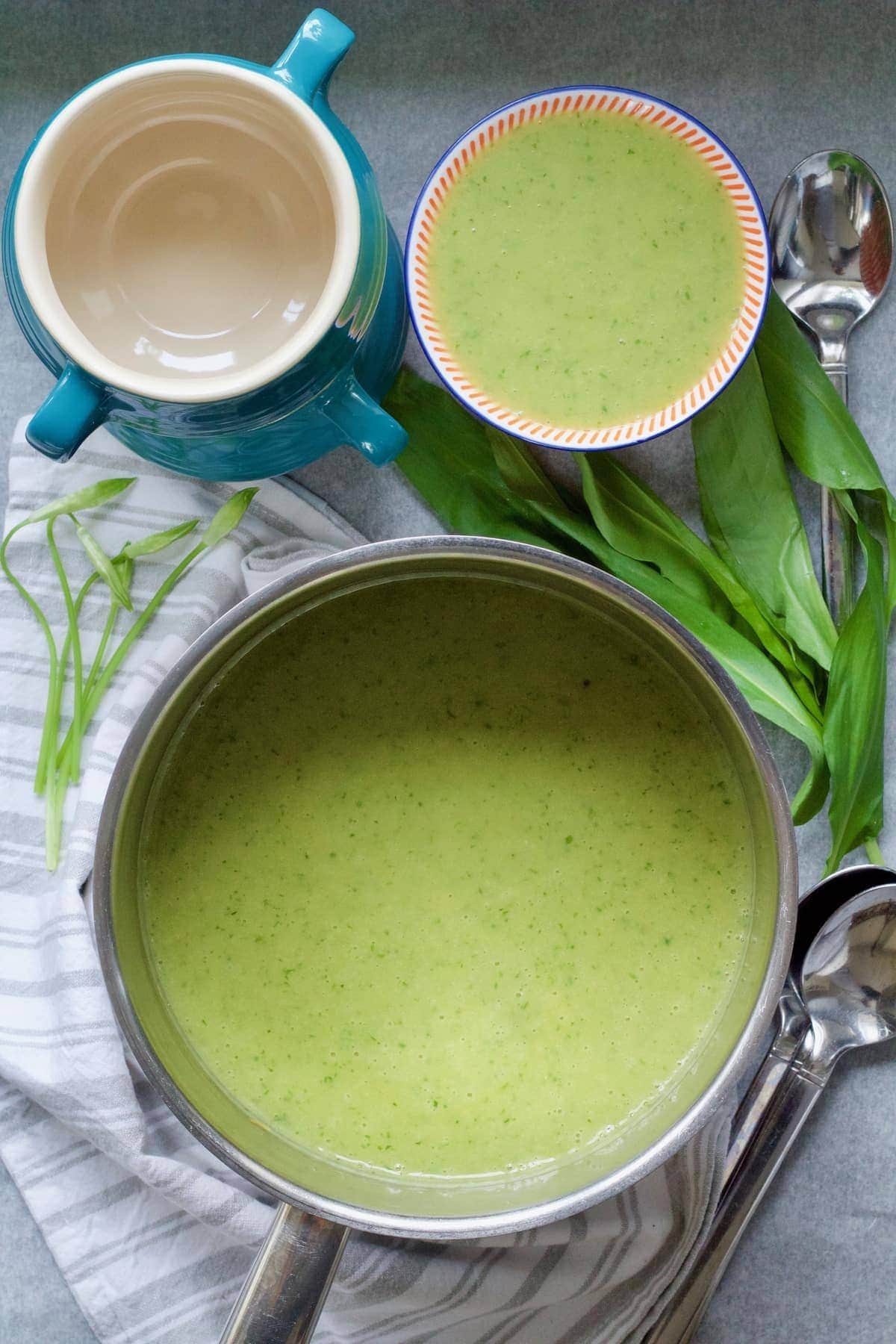 Pot with soup, bowls and wild garlic.