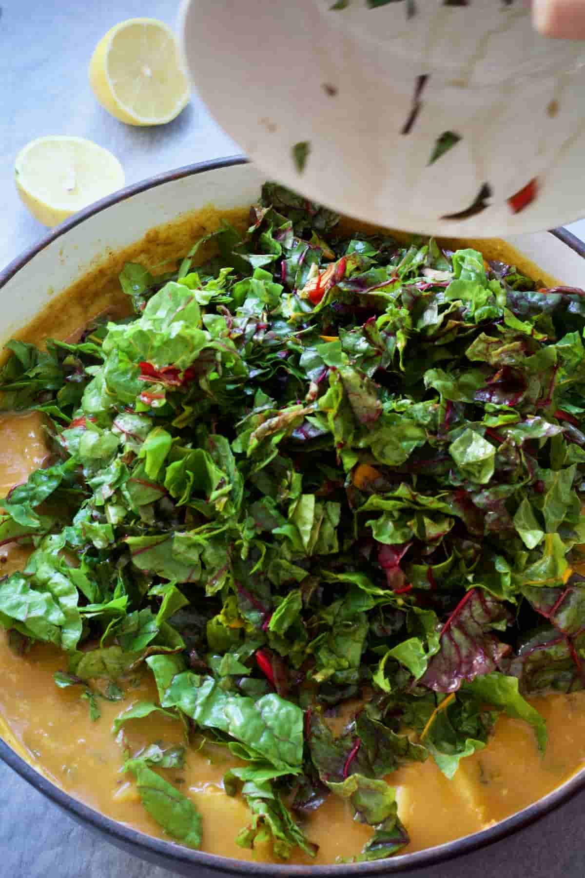 Chopped rainbow chard leaves being added to the curry.