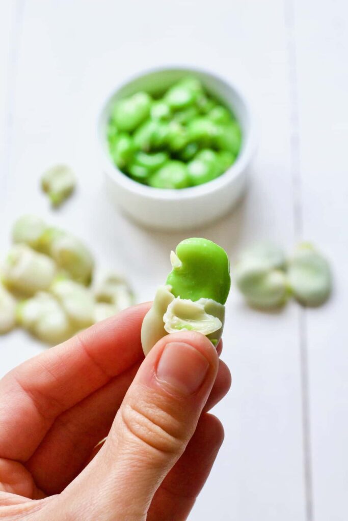 Hand holding double podded broad bean.