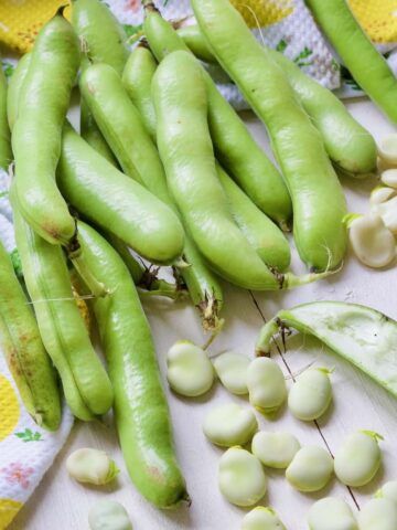 Broad beans in their pods and some podded.