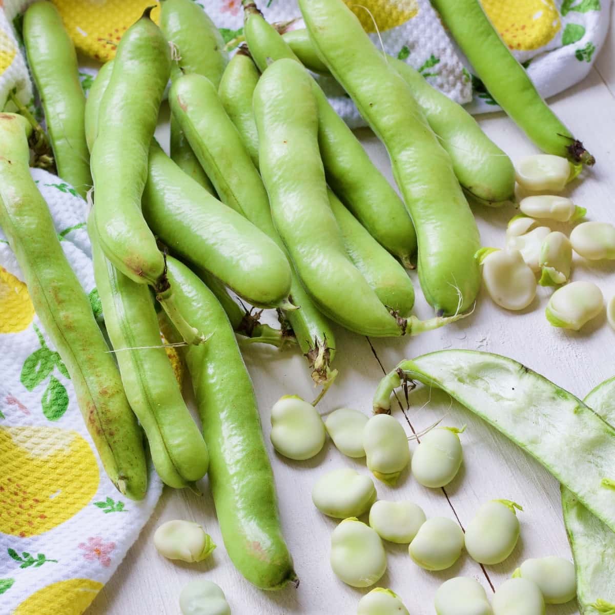 How to Cook Broad Beans (Fava Beans) - Jo's Kitchen Larder