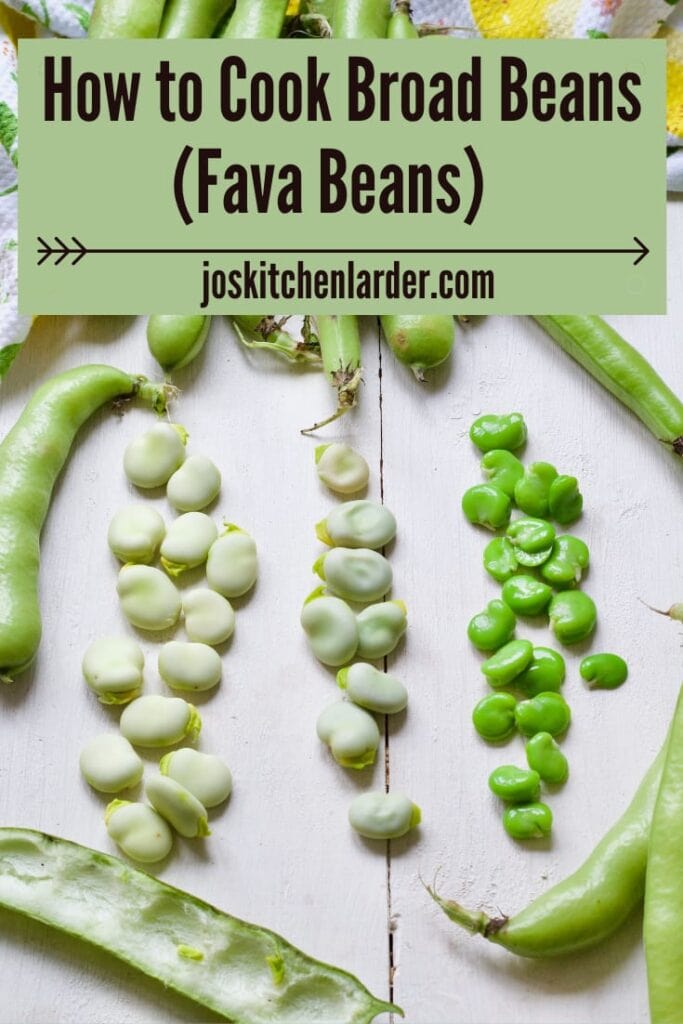 Raw, cooked & double podded broad beans in three rows.