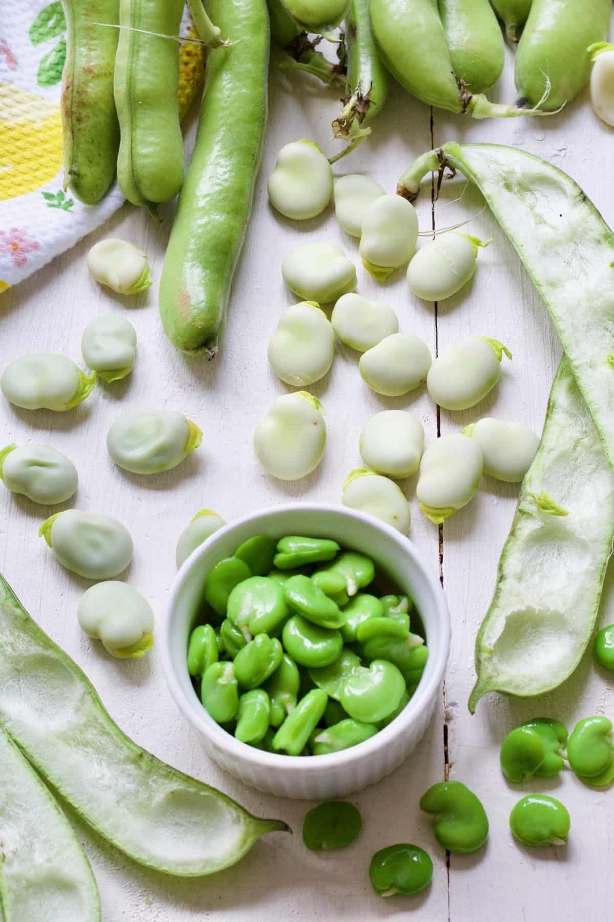 Broad beans shown in different forms.