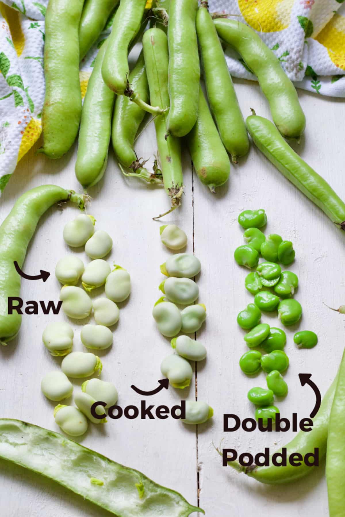 Broad beans shown raw, cooked & double podded.