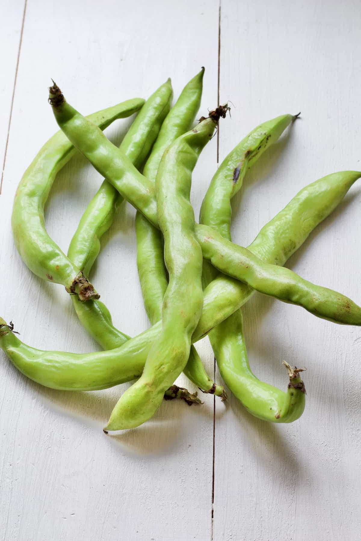 Broad beans in their pods.