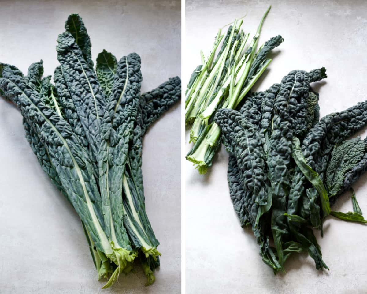 Bunch of cavolo nero & its leaves taken off the stalks.