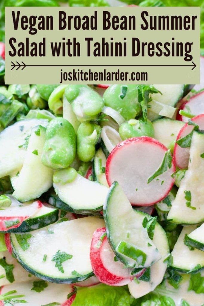 Close up of radish slices, broad beans, cucumber & courgette slices.