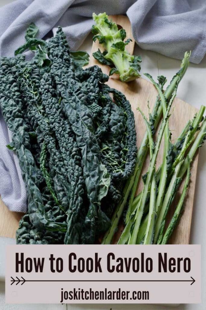 Black kale leaves, stalks and stem.