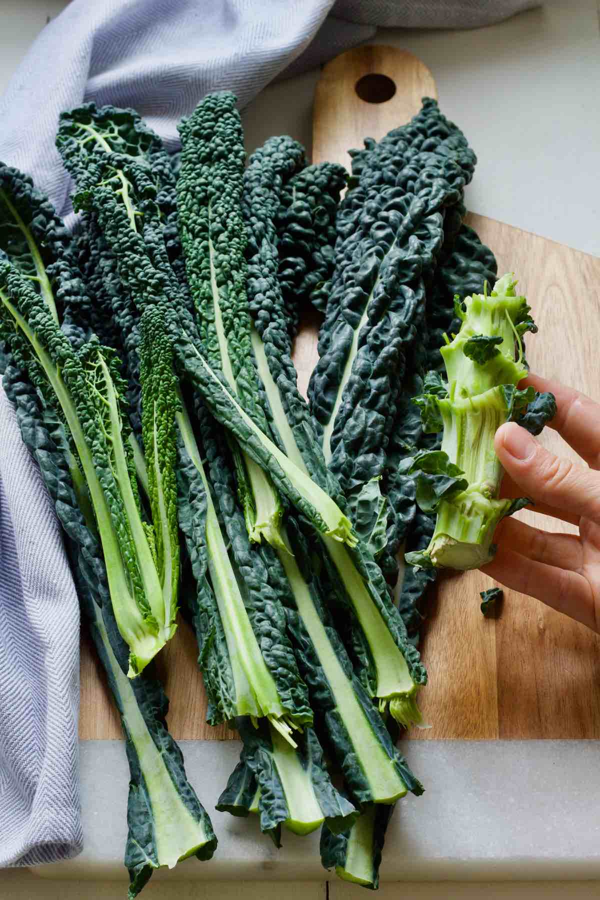 Cavolo nero leaves and stem they grow on.