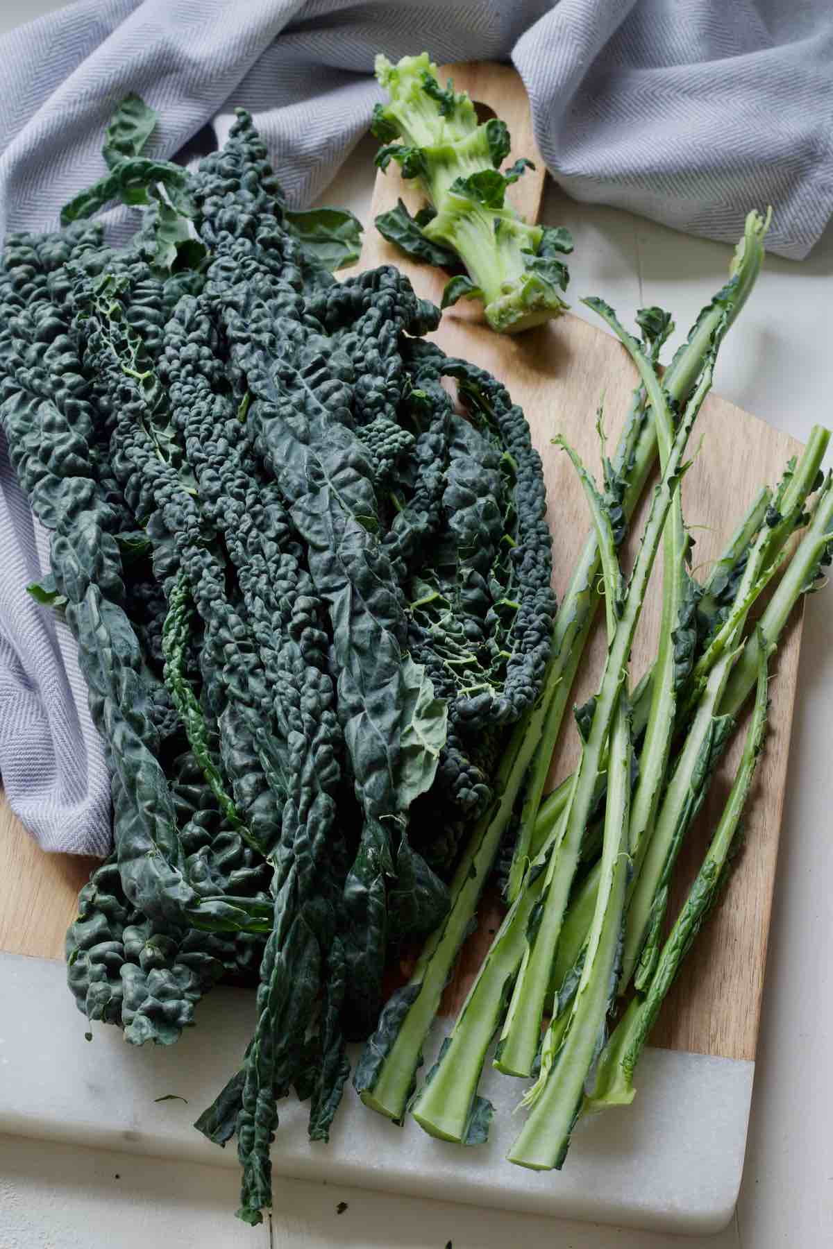 Black kale leaves, stalks and stem.