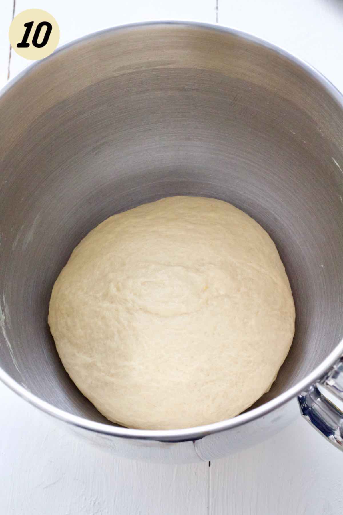 Kneaded dough ready for proofing.
