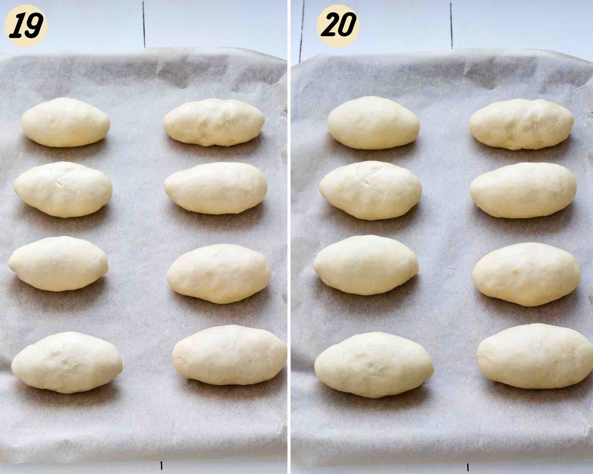 Shaped buns before and after resting.