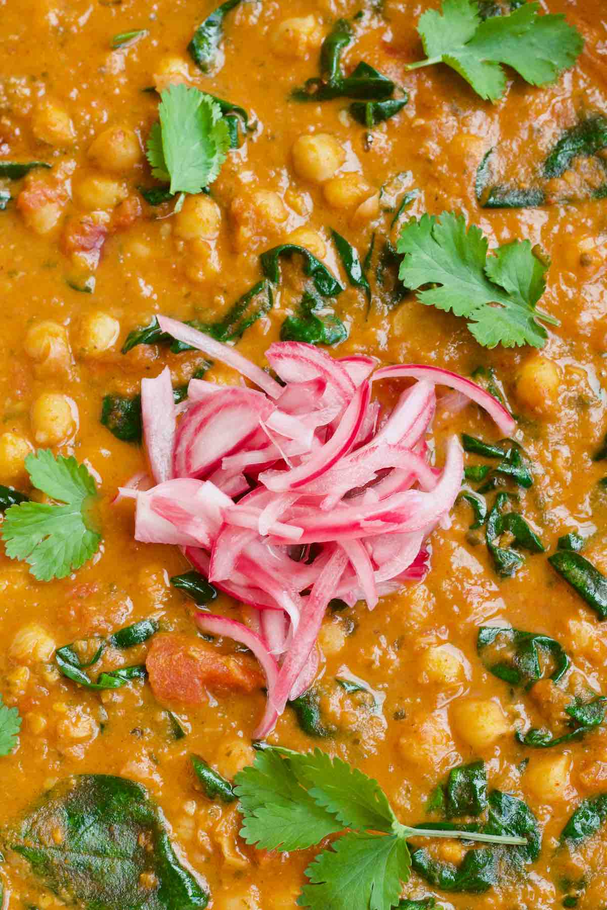 Close up of curry decorated with coriander leaves and pickled red onions.