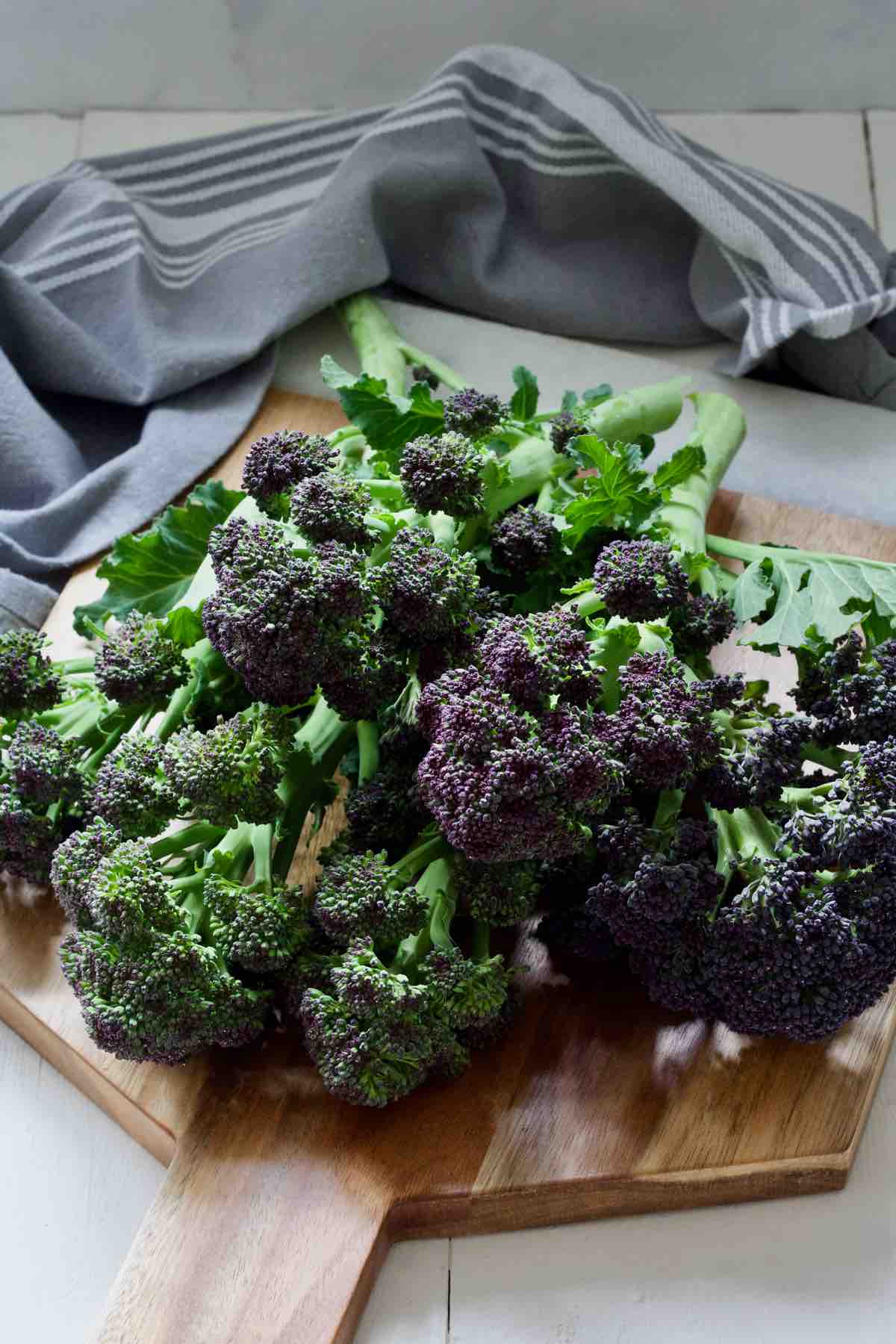 Bunch of PSB on a board.