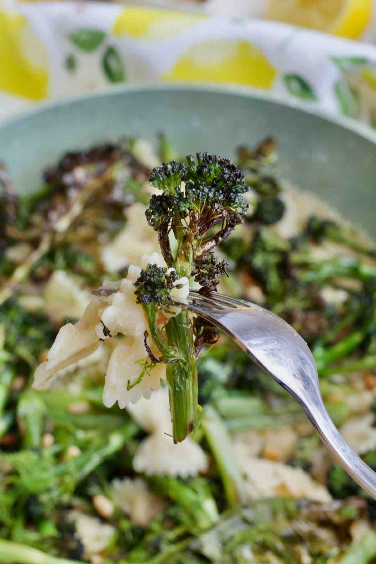 Piece of pasta and purple sprouting broccoli on a fork.