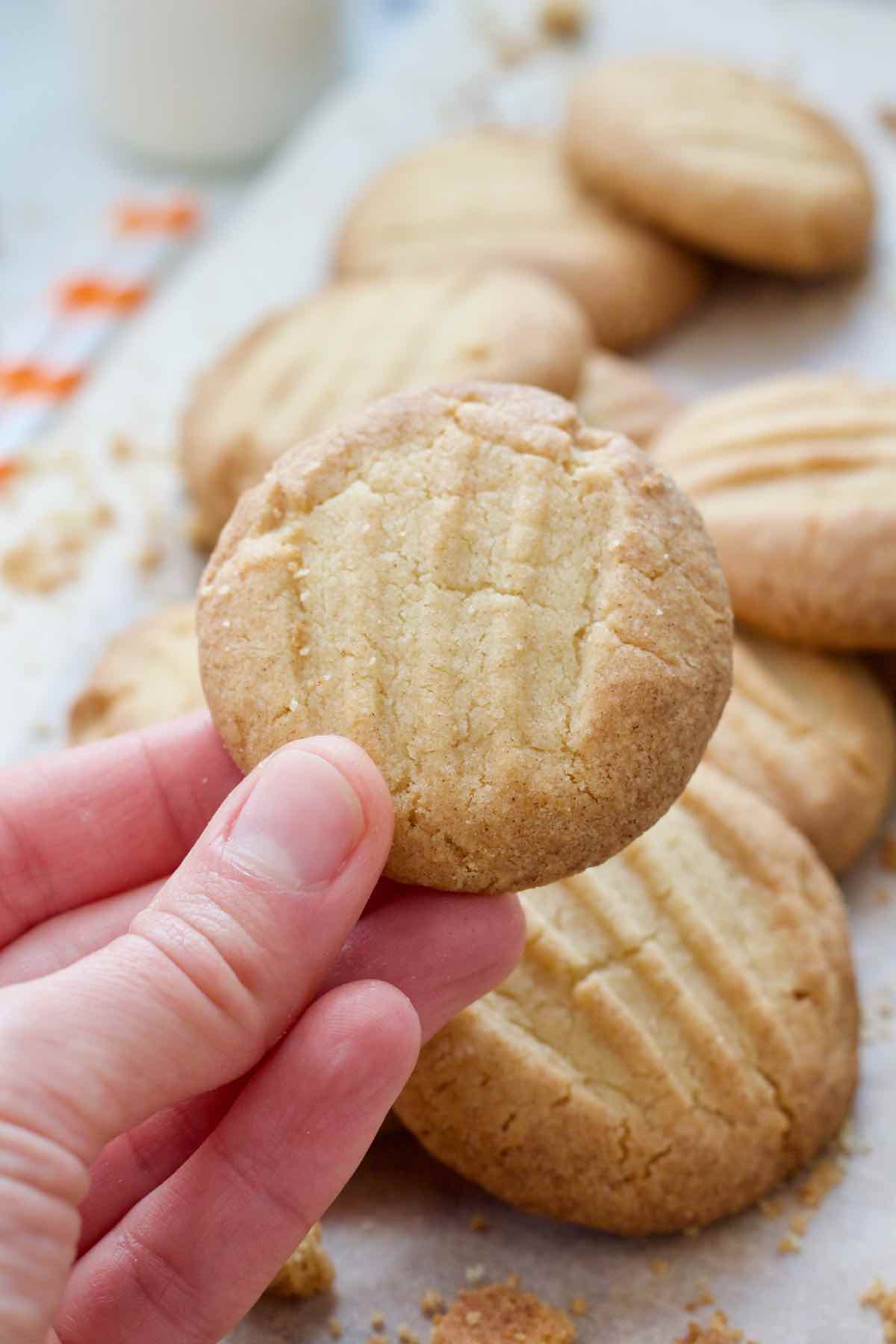 hand holding a biscuit.