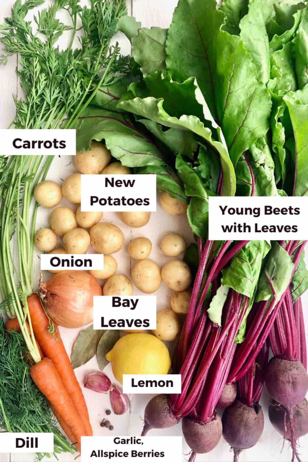 Fresh ingredients (veggies) for botwinka.