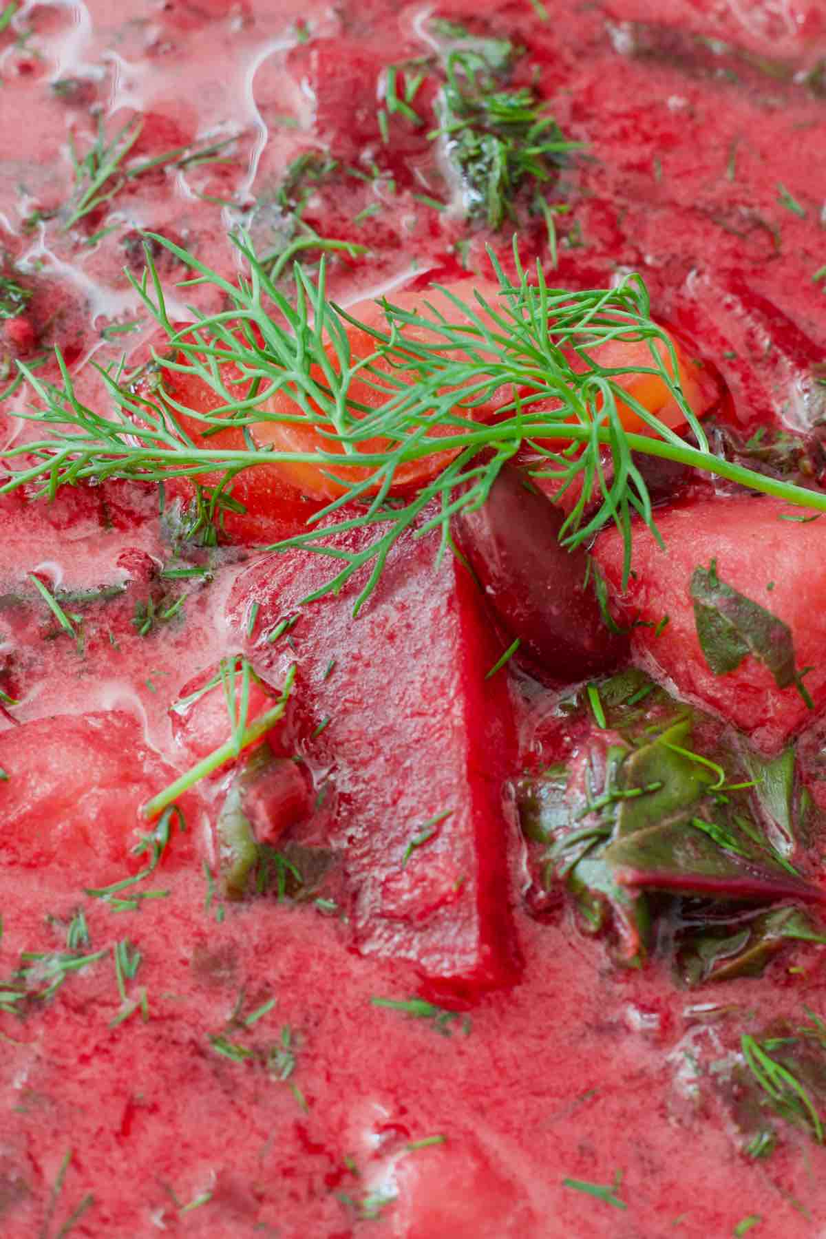 Close up of botwinka with fresh dill on top.