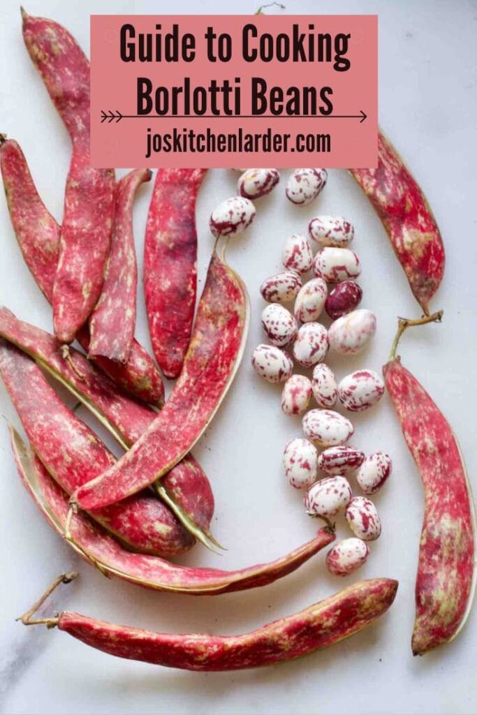 Fresh borlotti beans and pods.