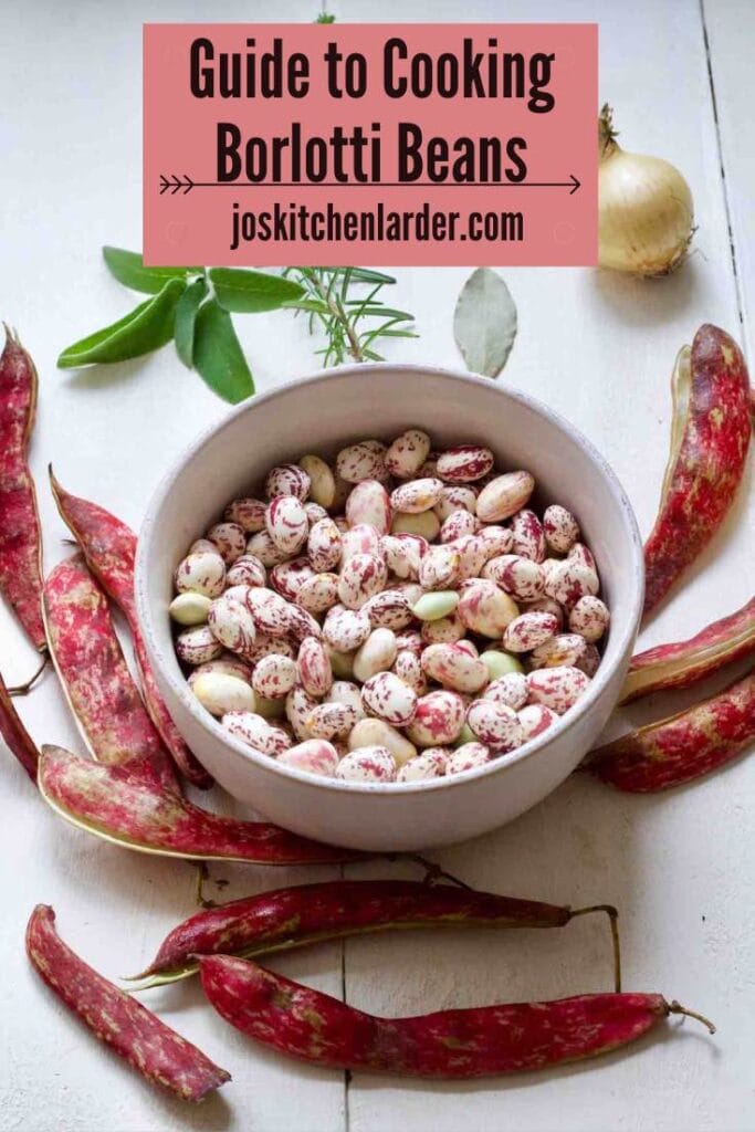 Fresh borlotti beans in a bowl with pods and aromatics scattered around .