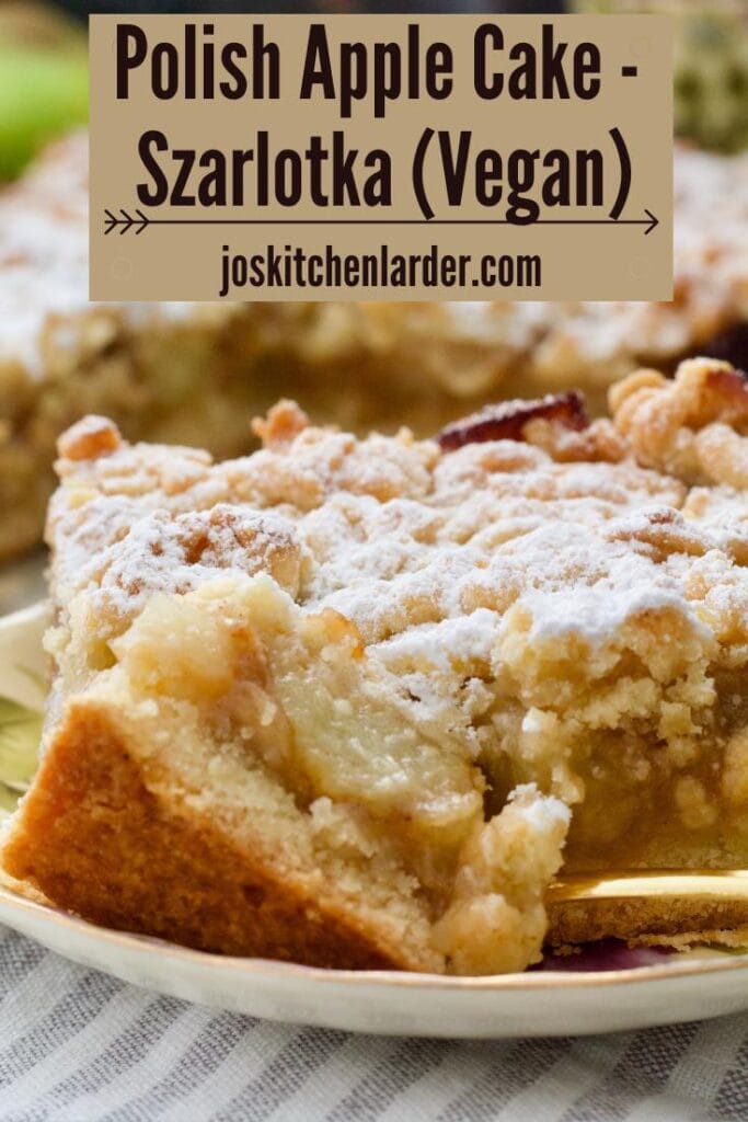 Slice of apple cake on the plate with close up of a forkful.