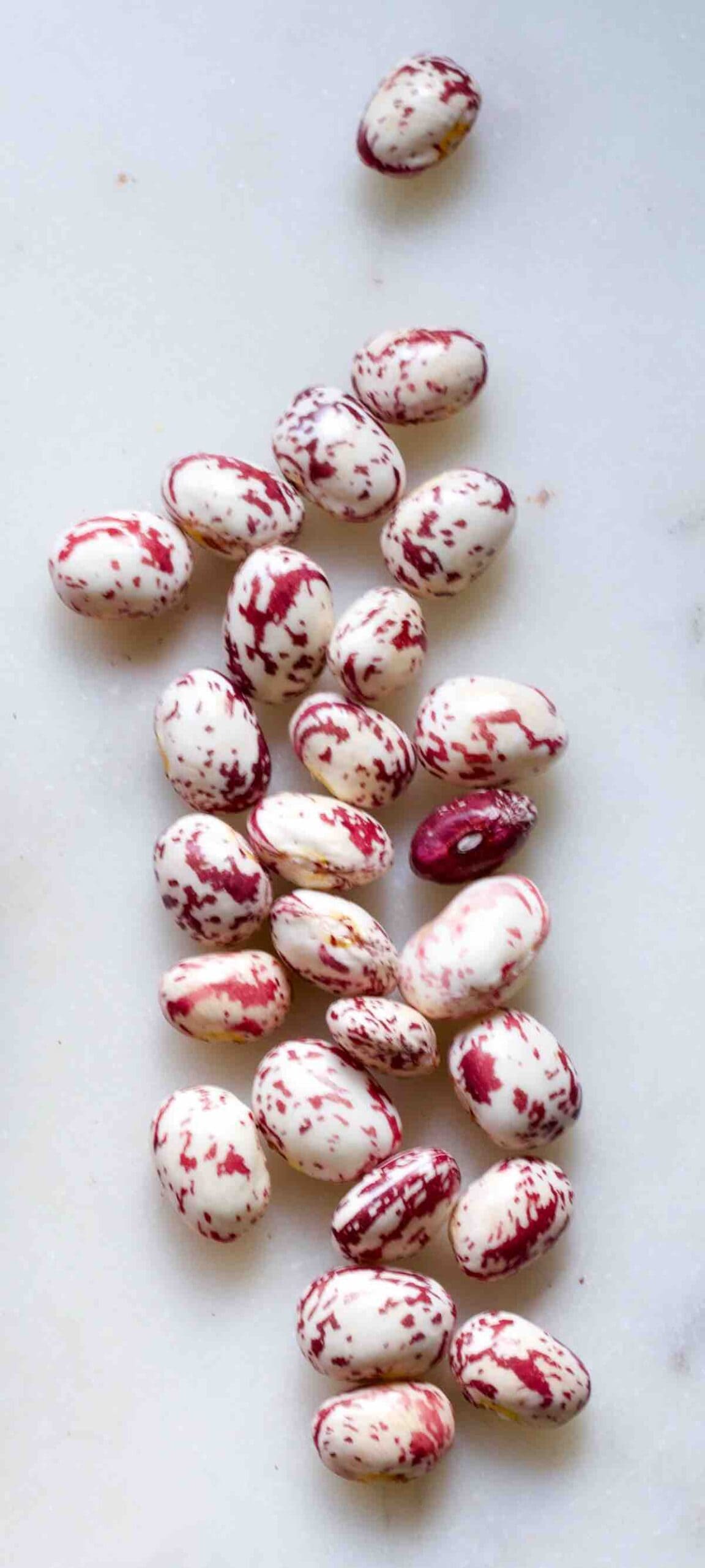 Podded fresh borlotti beans.