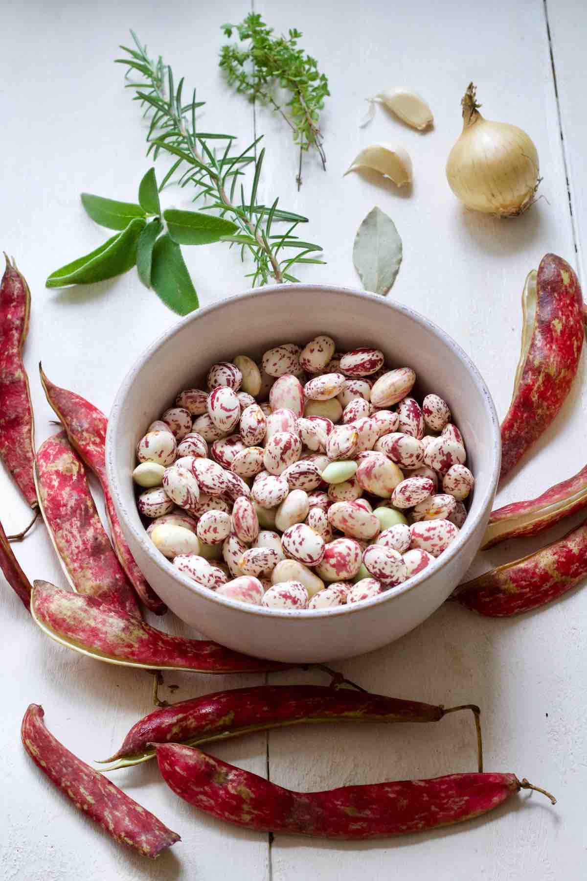 Fresh borlotti beans in a bowl with pods and aromatics scattered around .