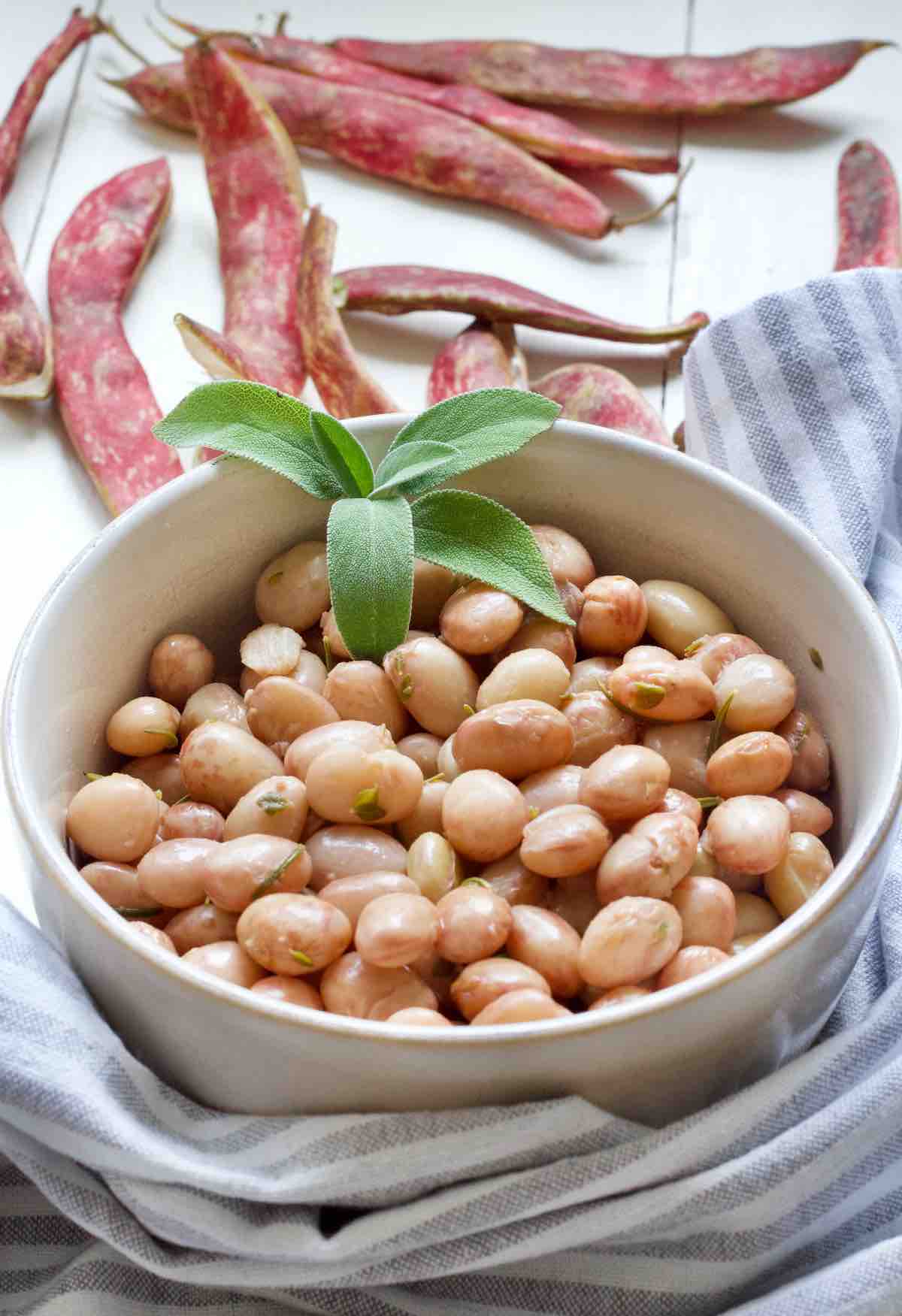 Borlotti beans in a bowl decorated with fresh sage, pods at the back.