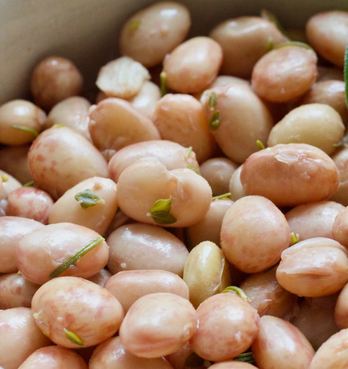 Close up of coked borlotti beans.