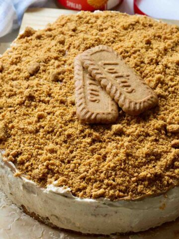 Close up of decorated vegan biscoff cheesecake with two lotus biscuits on top.