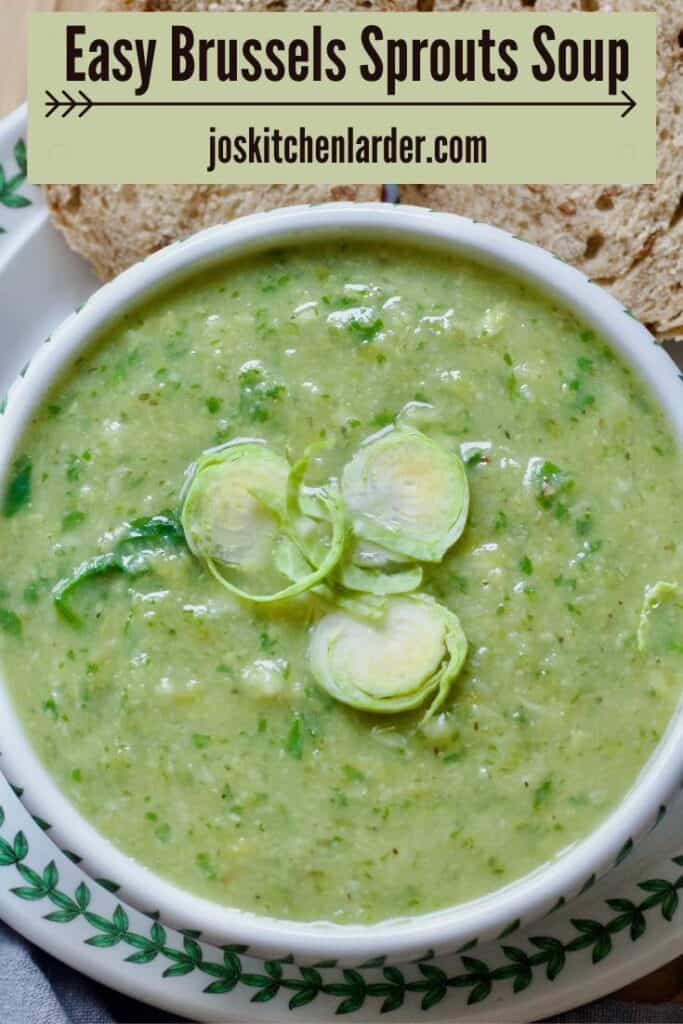 Close up of bowl of Brussels sprouts soup garnished with shredded sprouts.
