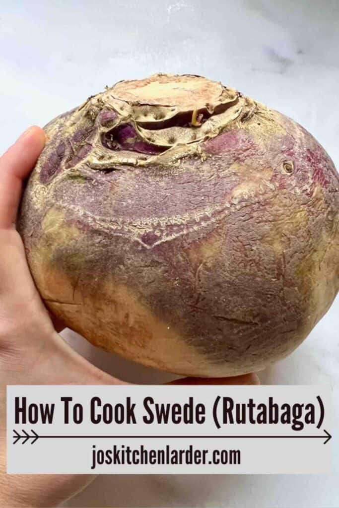 Hand holding swede aka rutabaga.