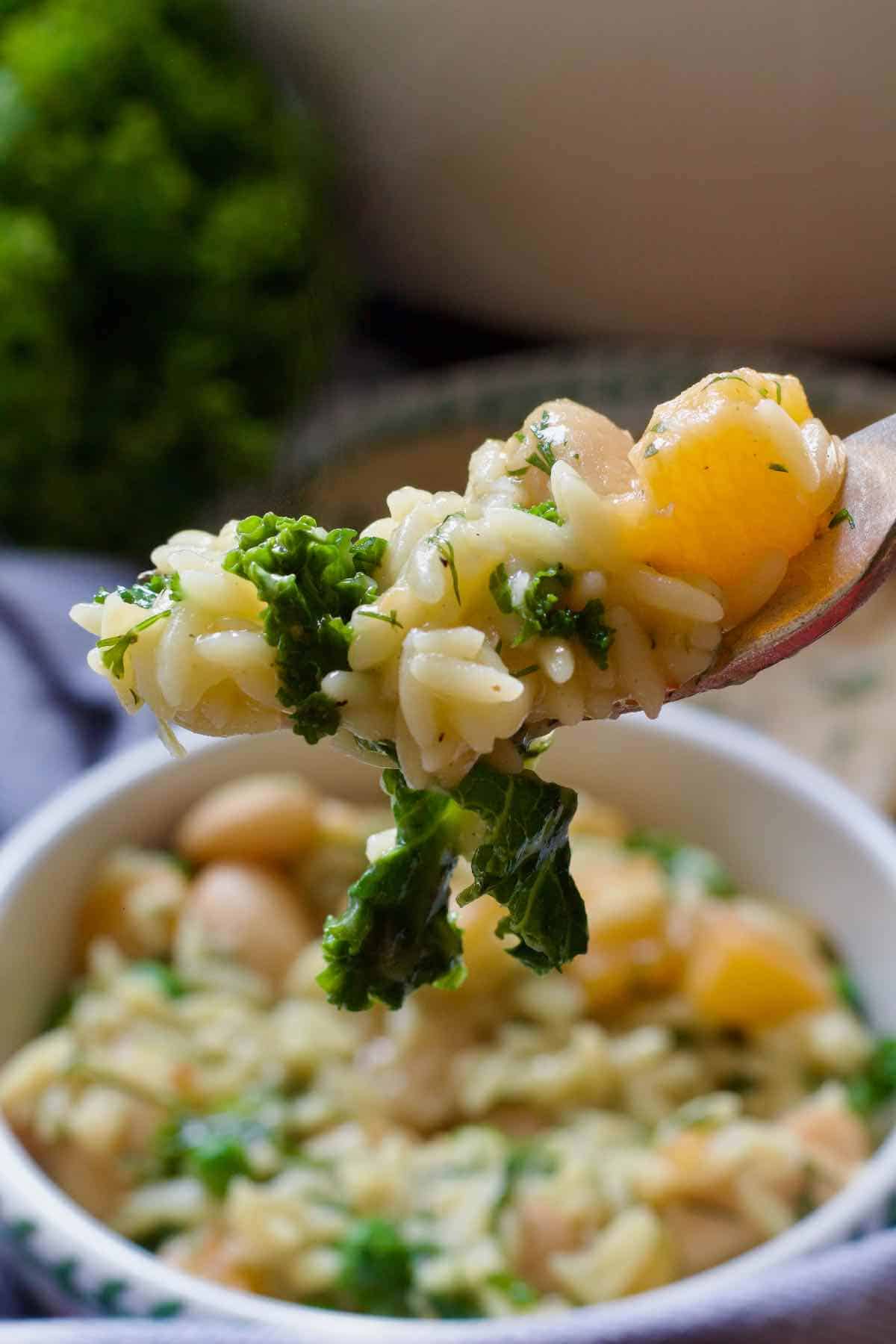 Close up of forkful of creamy swede orzo.