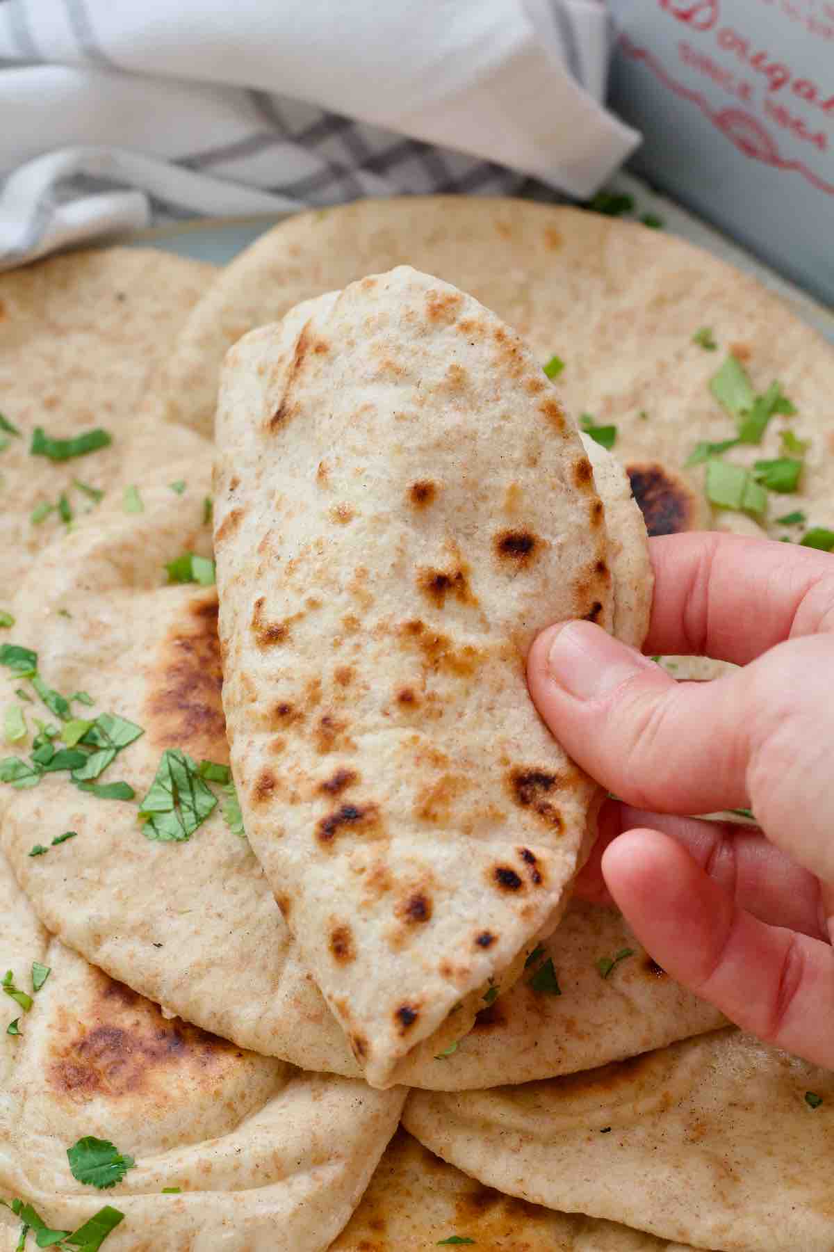 Close up of flatbread folded in half.
