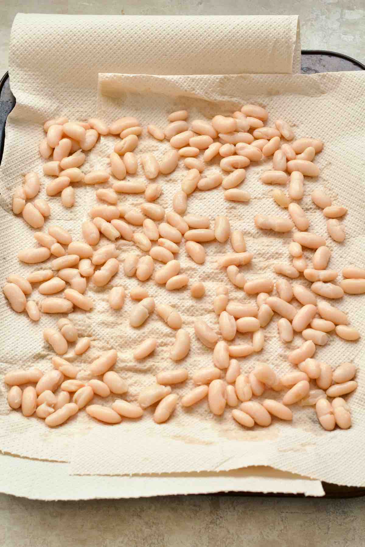 White beans drying on paper towels.