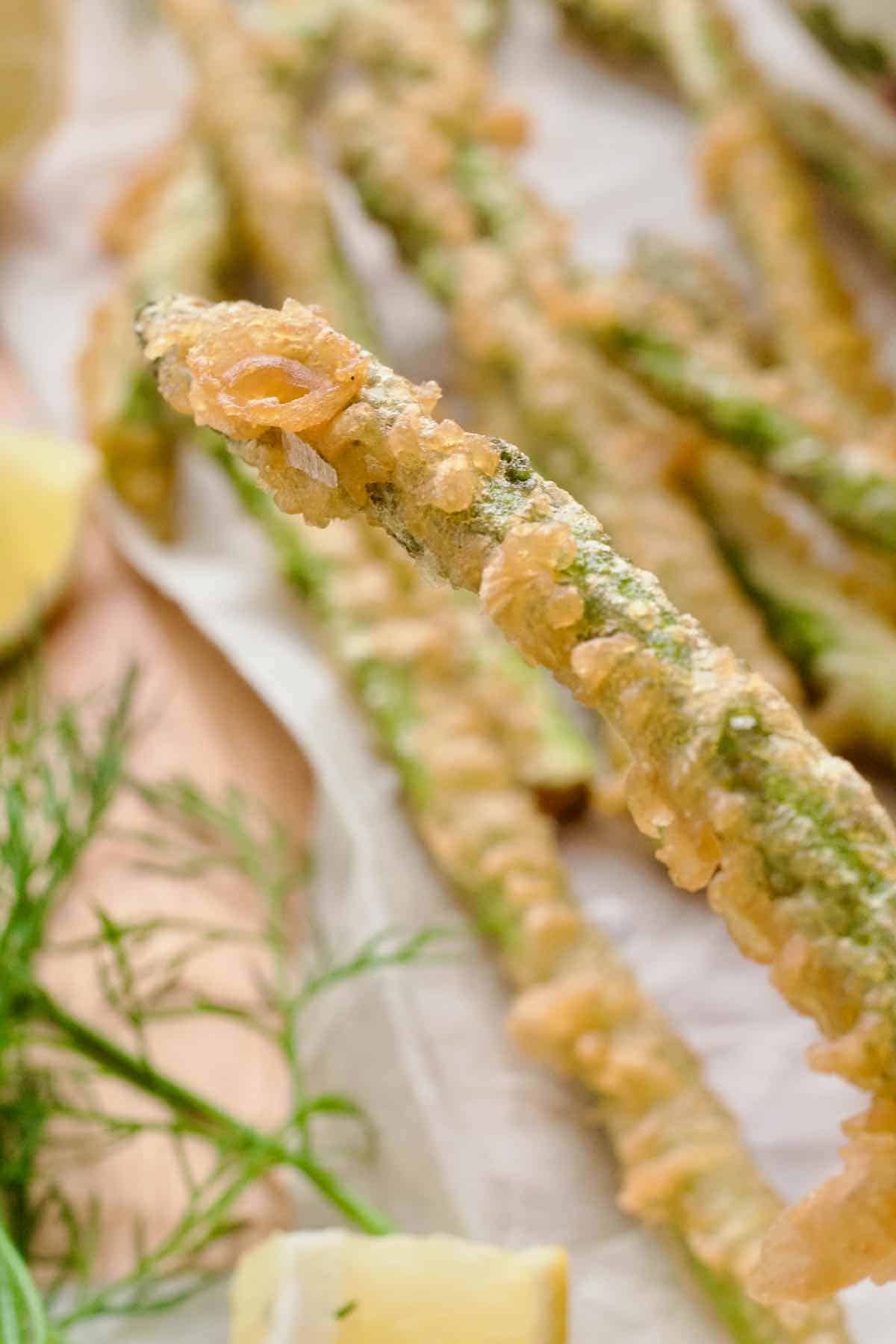 Close up of one single spear of asparagus tempura.