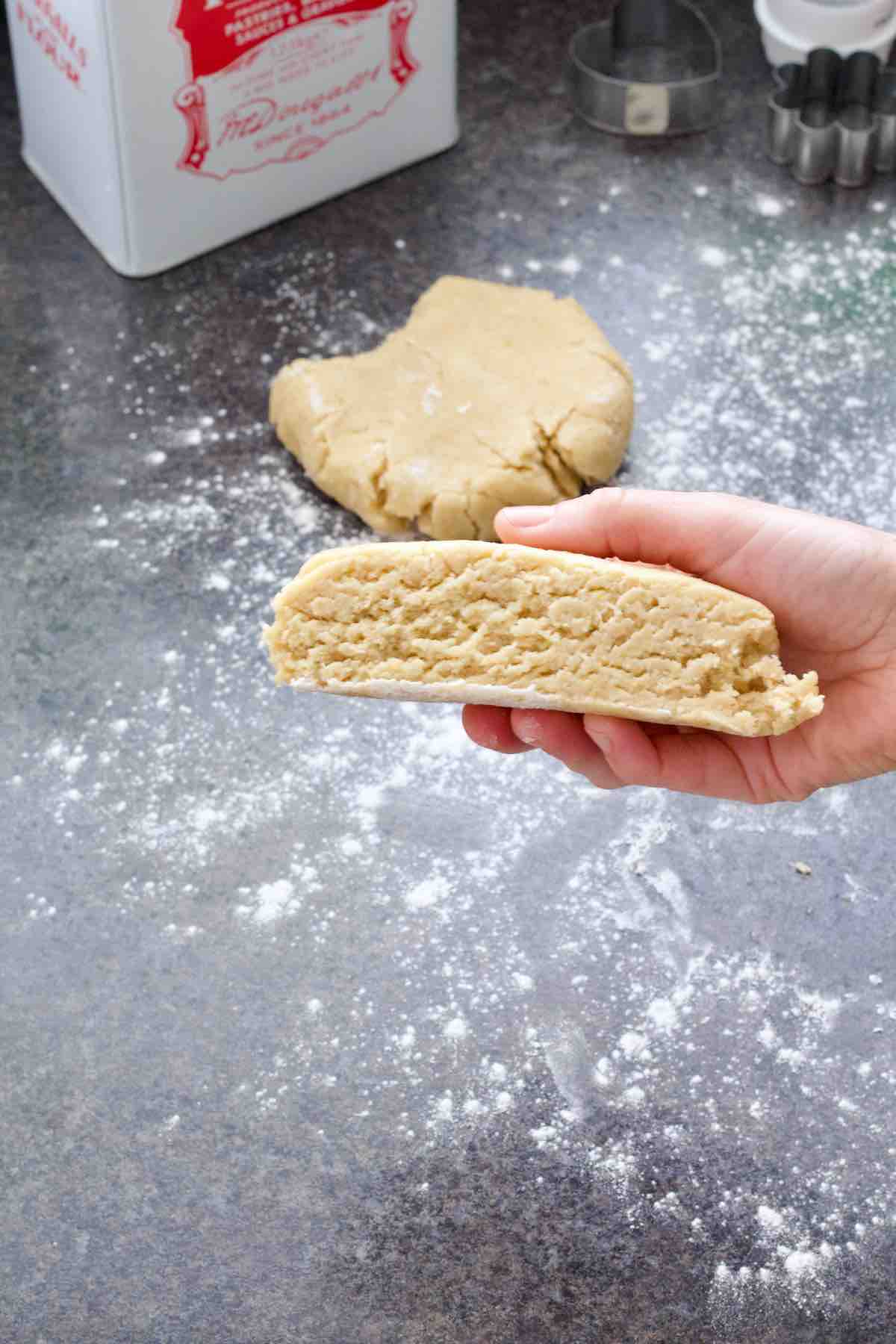 Hand holding a chunk of rested dough showing its cross section.