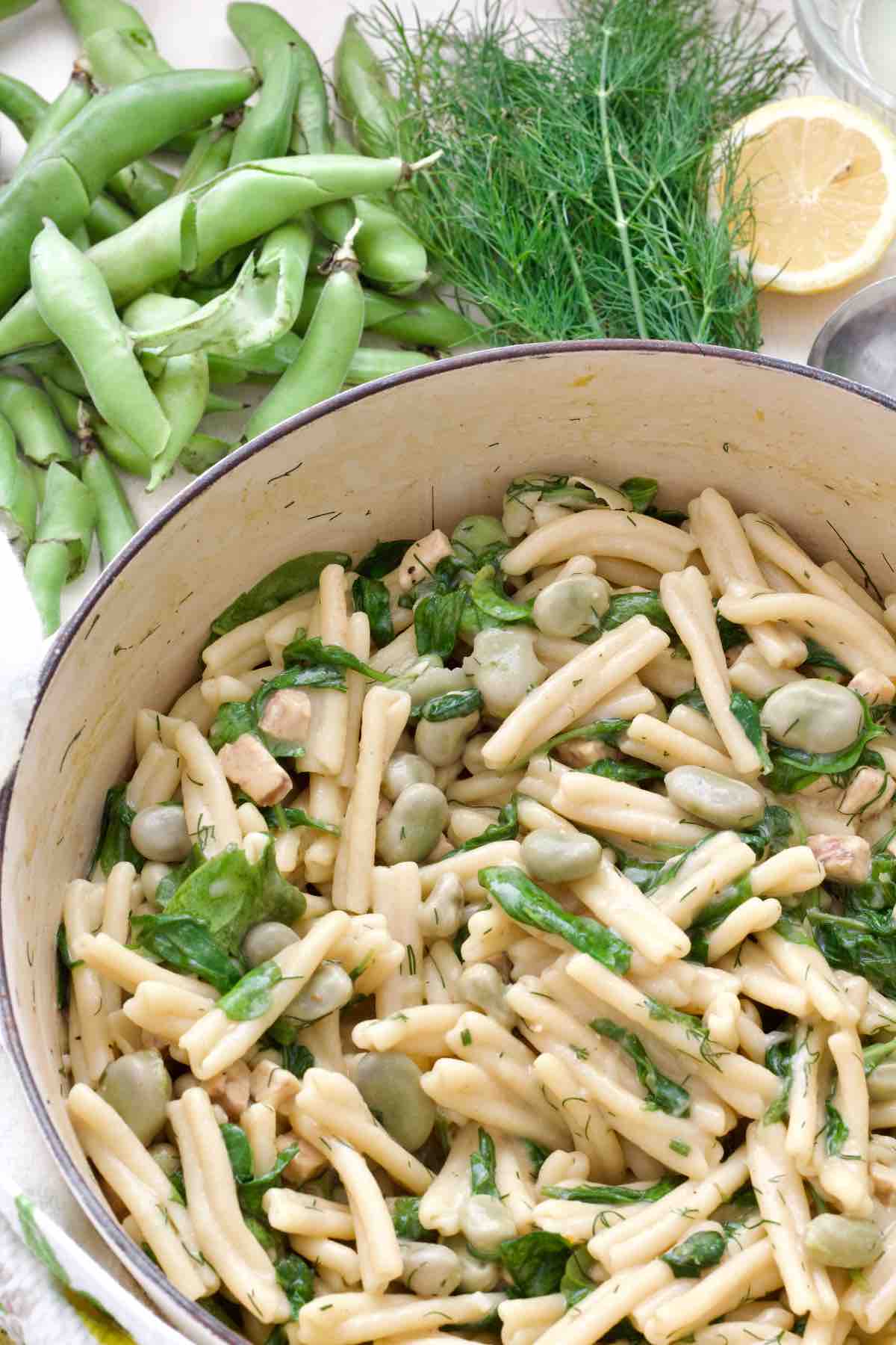Pot with broad bean pasta with some ingredients around the pot.