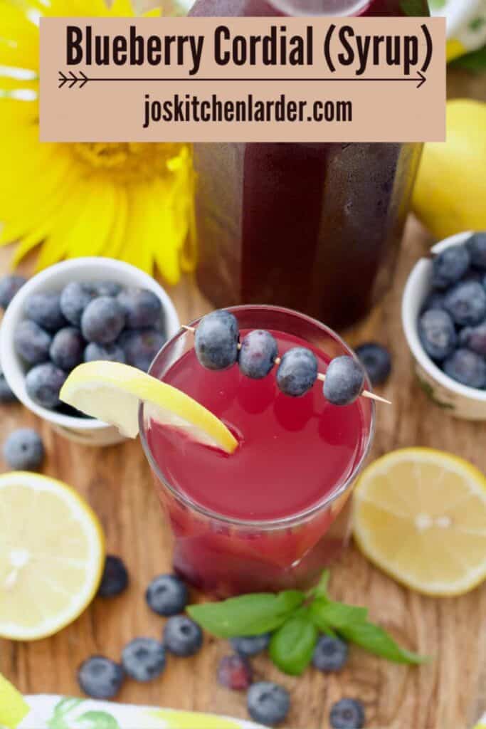 Diluted blueberry syrup drink with its garnishes viewed from the top.